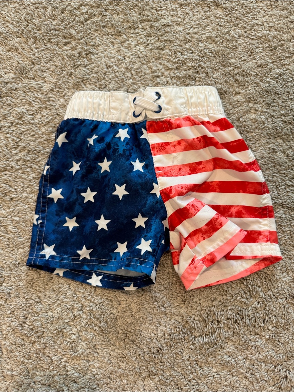 Cat & Jack Swim Trucks- 2T